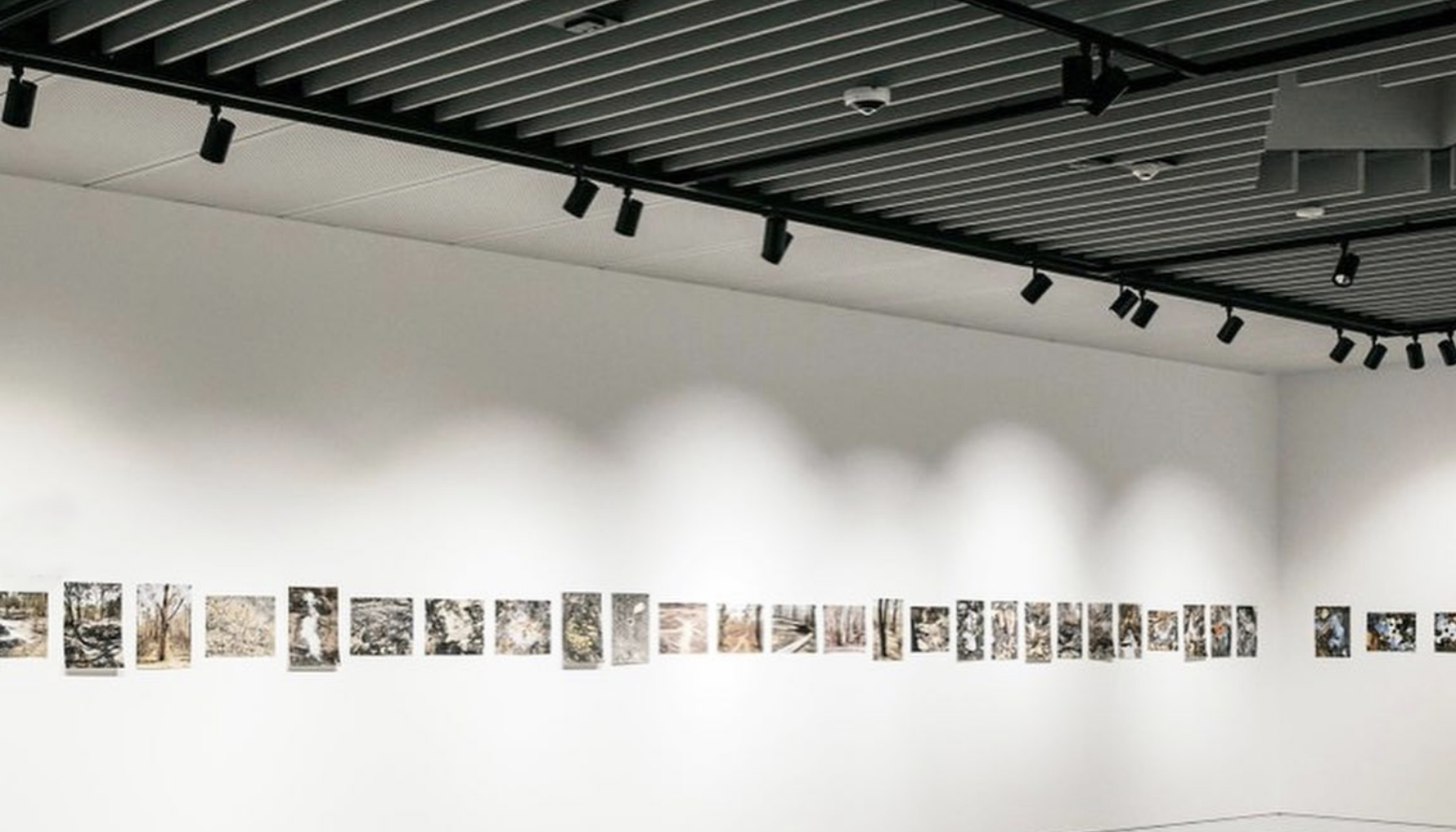 Mudgee Arts Precinct-7